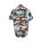 Men's Beach Scenery Button Up Short Sleeve Hawaiian Shirt For Summer, Vacation Resort, Men's Shirt